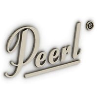Logo 3D Model