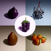 Low poly fruits pack-3