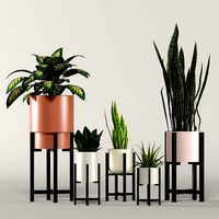 stratton home decor plant box collection