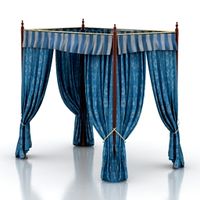 Canopy 3D Model