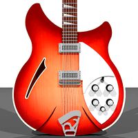 Rickenbacker Electric 12 String Guitar