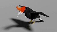 Cartoon Hornbill
