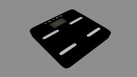 Electronic scale