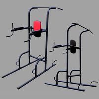 Weider Power Tower