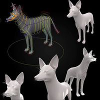 Realistic jackal animal 3d model