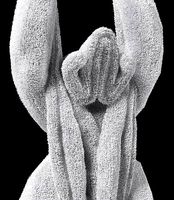 towel sloth  towel monkey