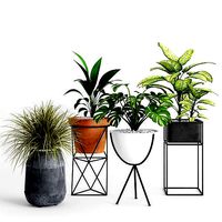 Plants And Planters 4