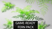 Realistic Ferns