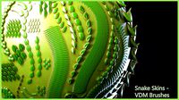 Zbrush - Snakeskin - 21 VDM Brushes
