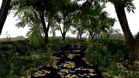 Road Scene