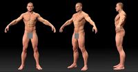 Male body 02
