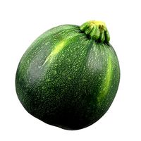 Photorealistic 3D Scanned Round Zucchini
