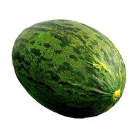 Photorealistic 3D Scanned Santa Claus Melon