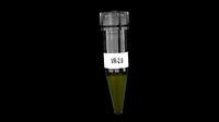 Jurassic Park Dinosaur Embryo Vial