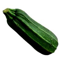 Photorealistic 3D Scanned Long Zucchini