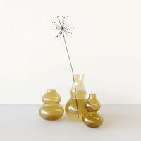vase dry lilly set