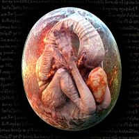 Bird Monster Embryo