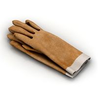 Gloves 3D Model