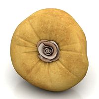 Pillow 3D Model