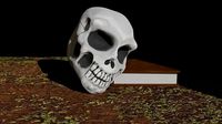 Skull