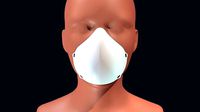 Face Mask