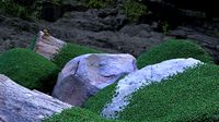 3D Scanned Rocks With Moss
