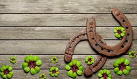 Two different old horseshoes 3d model free
