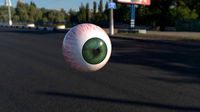 Human Eye