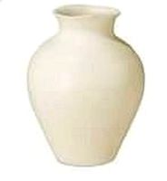 a vase