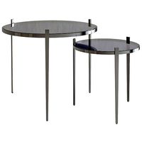 Abhika SET OF 2 GLASS ROUND COFFEE TABLES 3d model