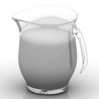 Jug 3D Model