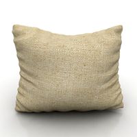 Pillow 3D Model