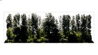 LANDSCAPE BACKGROUND