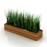 Grass 3D Model
