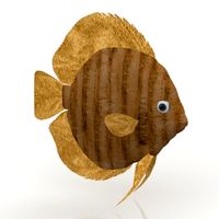 Fish 3D Model