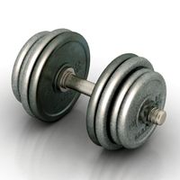 Dumbbell 3D Model