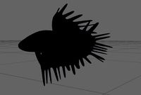 Low-poly Simple Crowntail Betta Fish