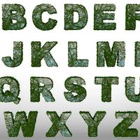 IVY alphabet