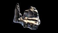 Stone 3D scane model for game environment