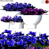 3DTree-African violet