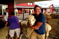 farm livestock life