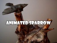 Animated sparrow