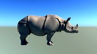 Rhino Body
