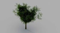 Realistic tree