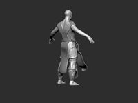 WARRIOR sculpted