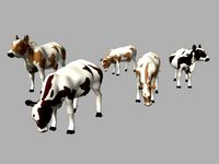 Cow Modal