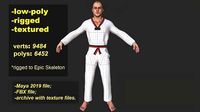 Taekwondo fighter