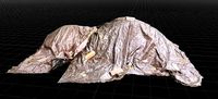 Tarp Covered Pile