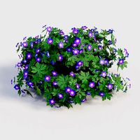 Geranium Purple
