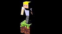 Minecraft model